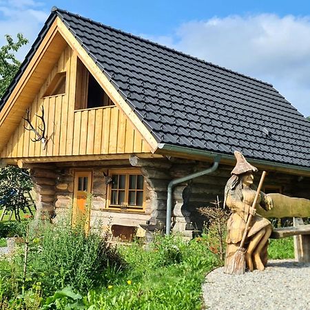 Villa Blockhaus Panhuette Braunlage Esterno foto