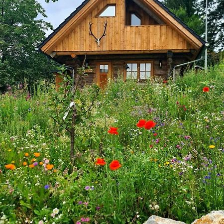 Villa Blockhaus Panhuette Braunlage Esterno foto