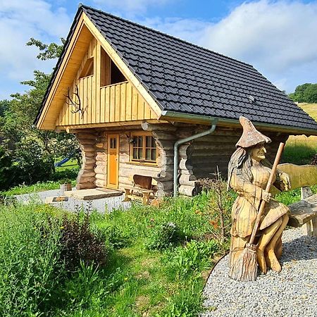 Villa Blockhaus Panhuette Braunlage Esterno foto