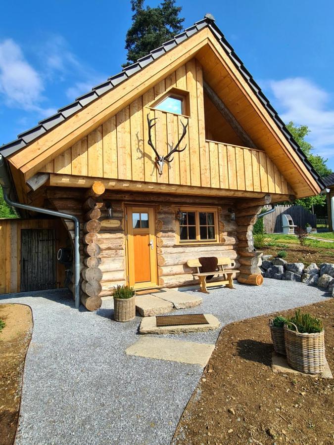 Villa Blockhaus Panhuette Braunlage Esterno foto