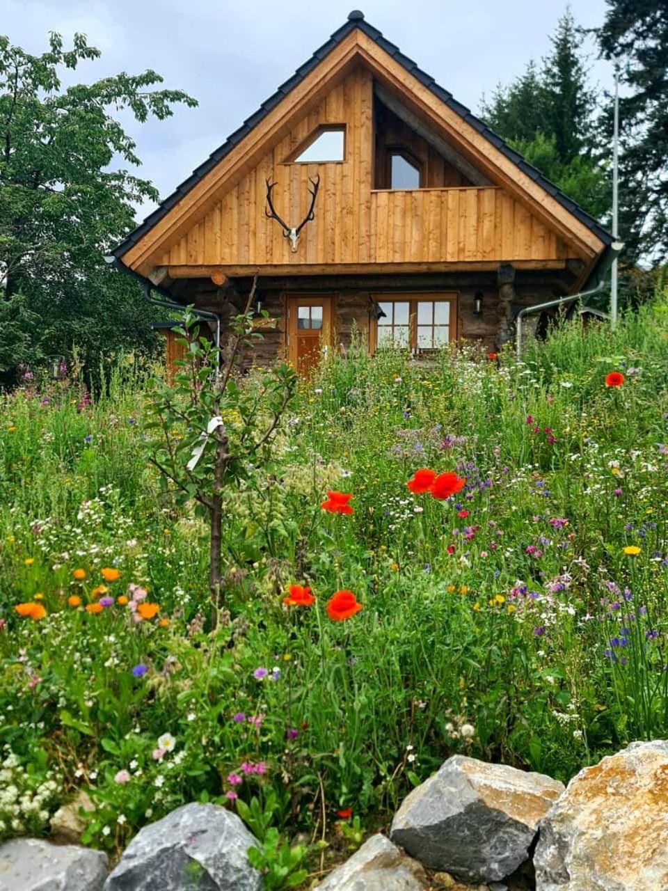 Villa Blockhaus Panhuette Braunlage Esterno foto